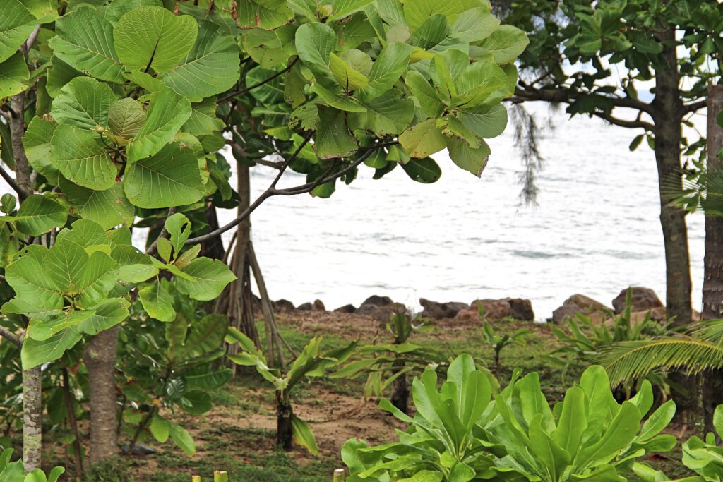 Sea View from Koh Jum Beach Villas